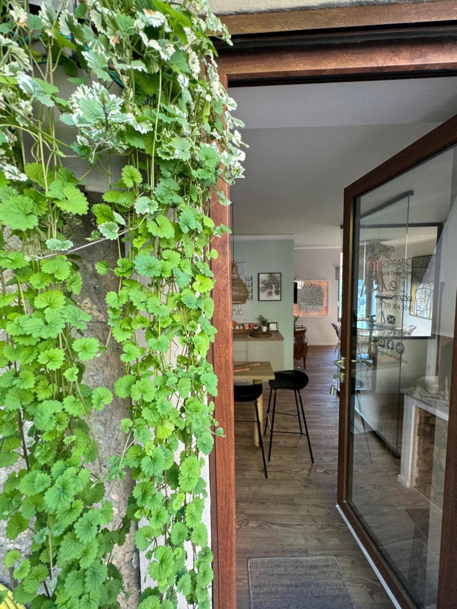 Soprabosco Calcata Art & Design Apartment Buitenkant foto